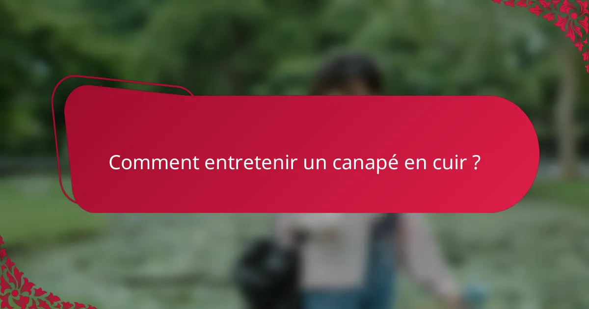 Comment entretenir un canapé en cuir ?