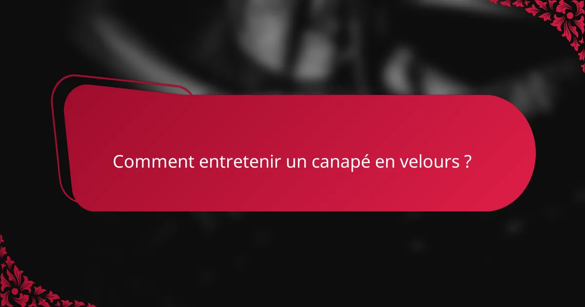 Comment entretenir un canapé en velours ?