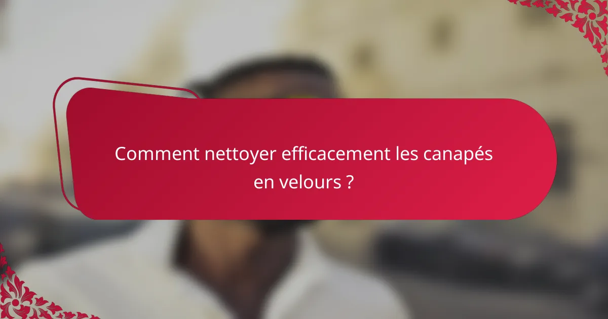 Comment nettoyer efficacement les canapés en velours ?