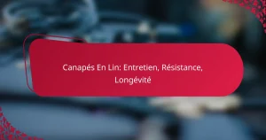 Canapés En Lin: Entretien, Résistance, Longévité