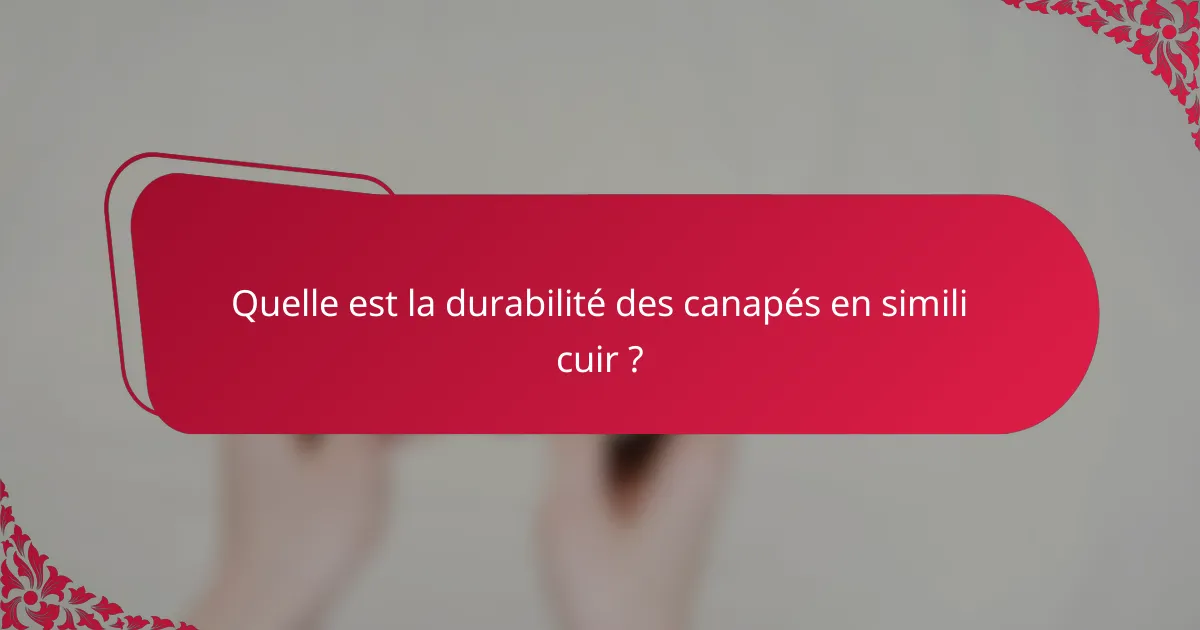 Quelle est la durabilité des canapés en simili cuir ?