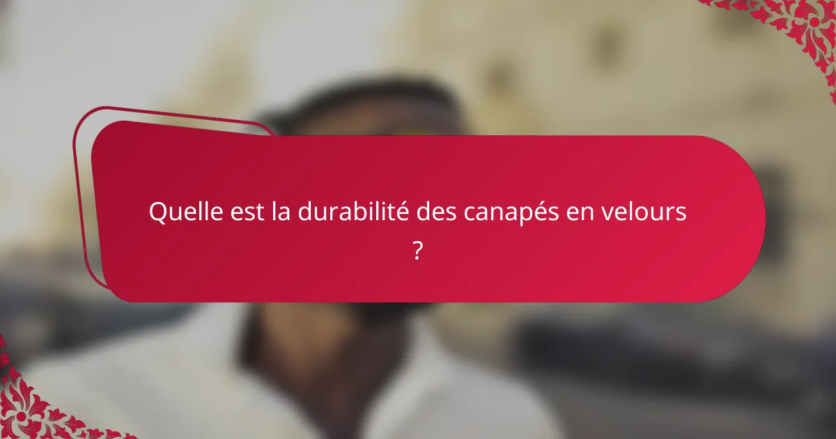 Quelle est la durabilité des canapés en velours ?
