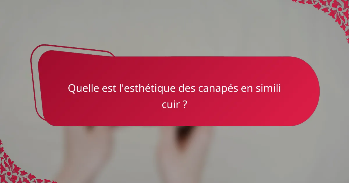 Quelle est l'esthétique des canapés en simili cuir ?