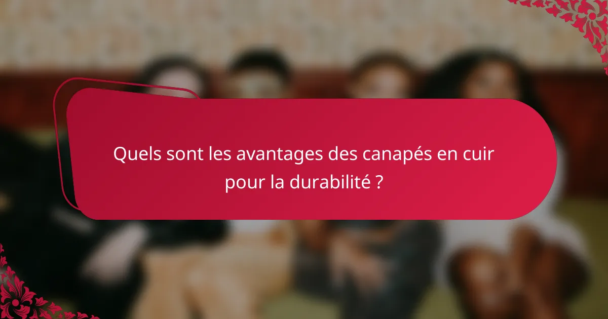 Quels sont les avantages des canapés en cuir pour la durabilité ?