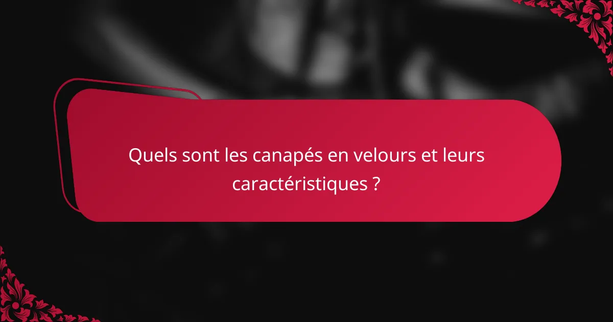 Quels sont les canapés en velours et leurs caractéristiques ?