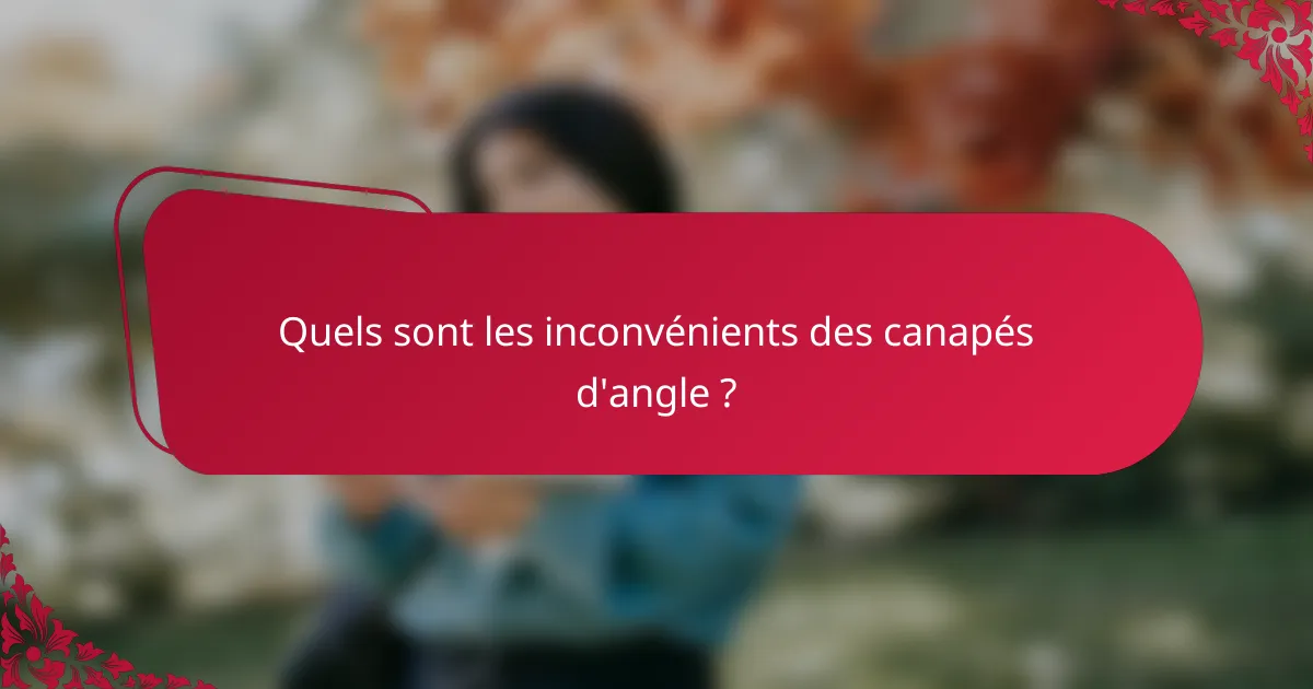 Quels sont les inconvénients des canapés d'angle ?