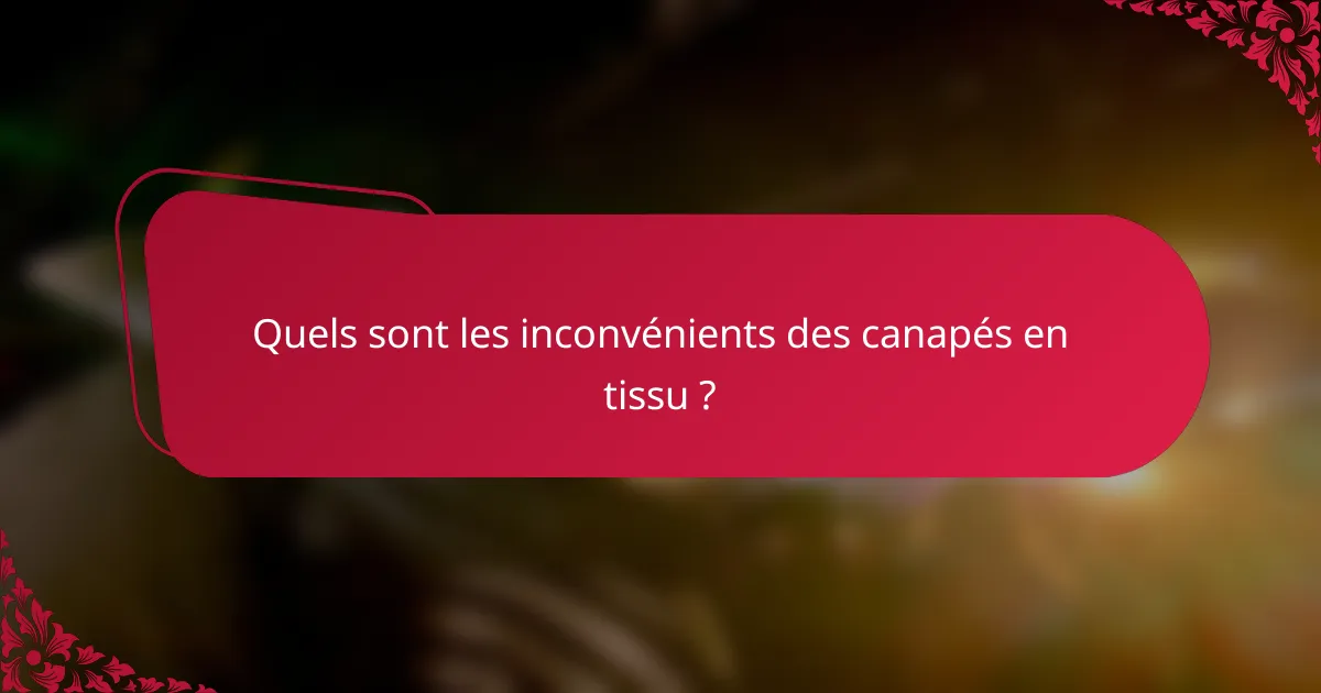 Quels sont les inconvénients des canapés en tissu ?