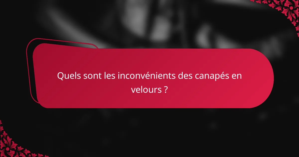 Quels sont les inconvénients des canapés en velours ?
