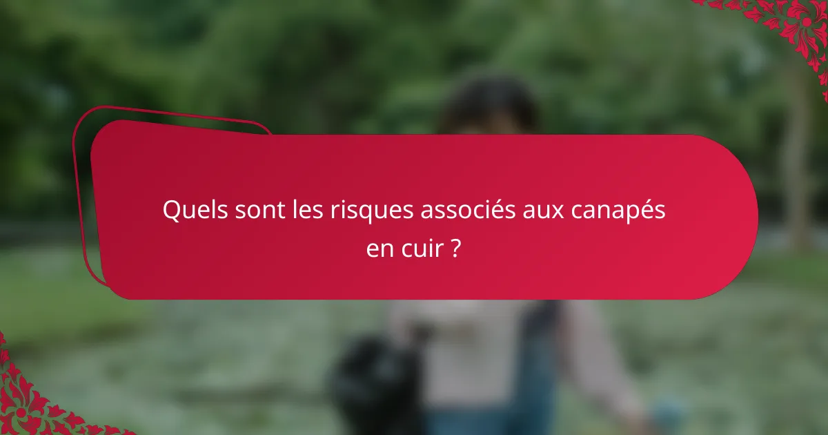 Quels sont les risques associés aux canapés en cuir ?