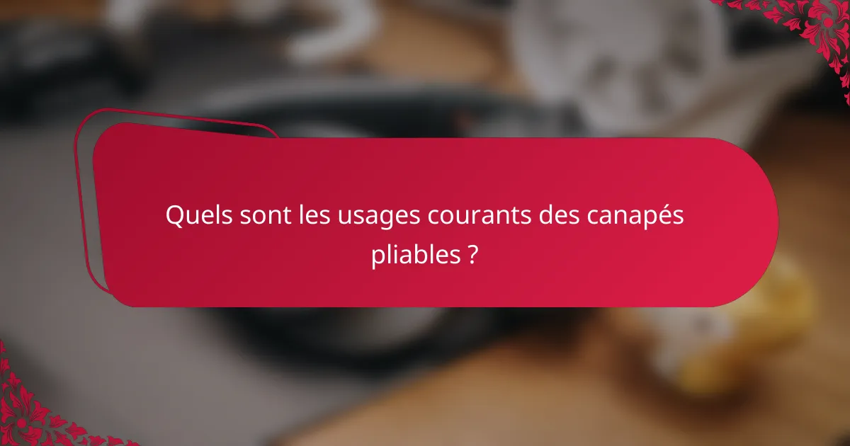 Quels sont les usages courants des canapés pliables ?