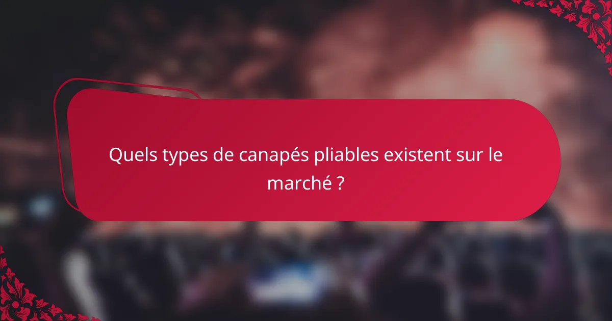 Quels types de canapés pliables existent sur le marché ?