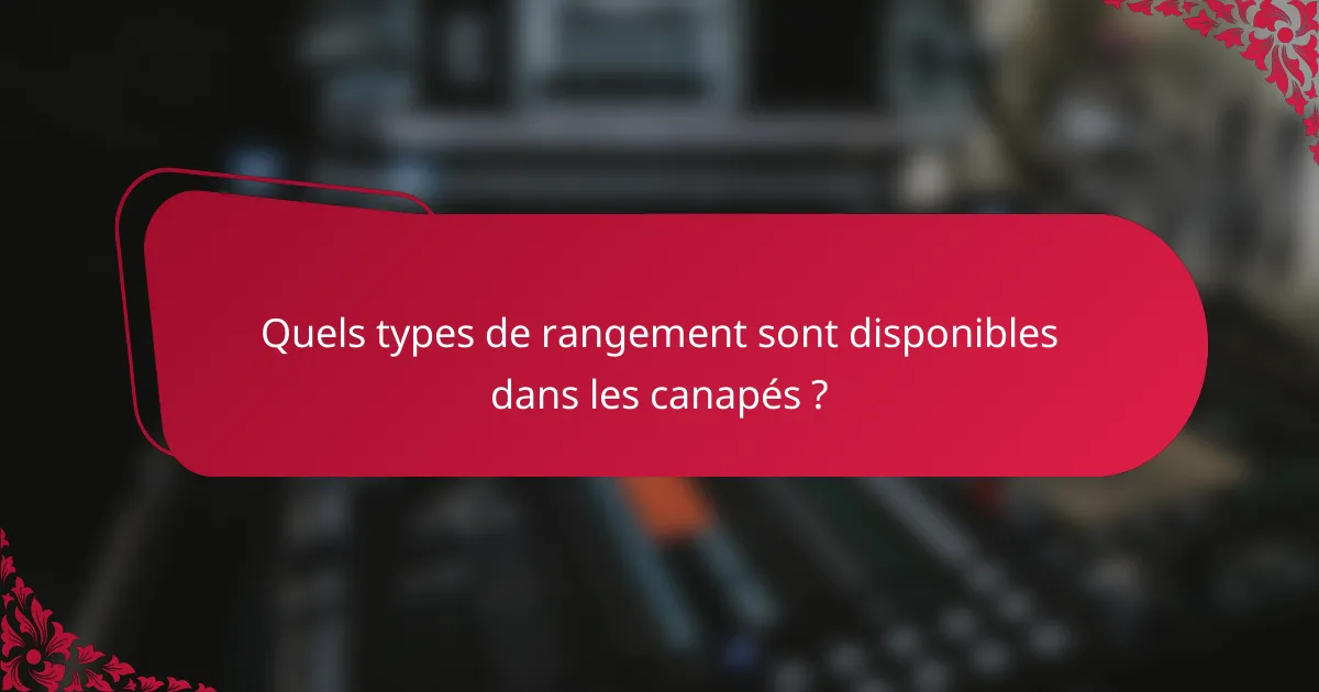 Quels types de rangement sont disponibles dans les canapés ?